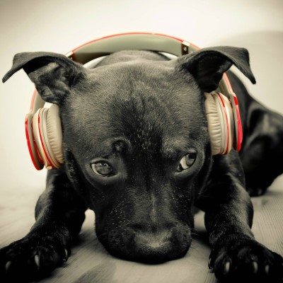 1920 x 1080 HD Wallpapers 300